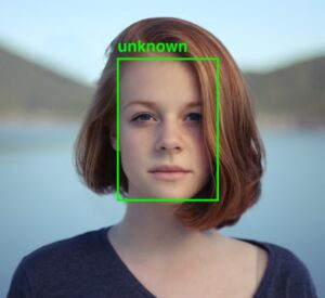 What are Face Recognition Categories and How do They Work?