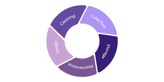 Data Management Cycle