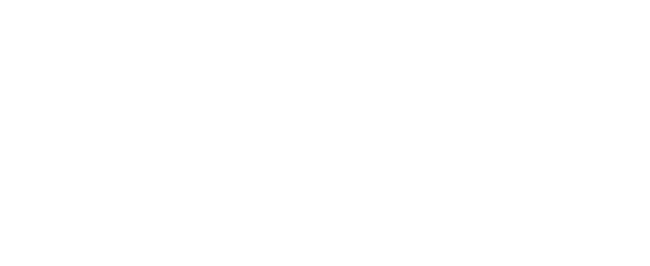 Ingenic-partner-logo