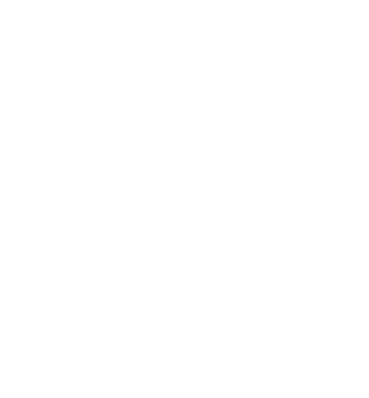 NSW-Government-Partner-logo